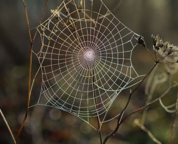 robert-anasch-h7dl6upIOOs-unsplash