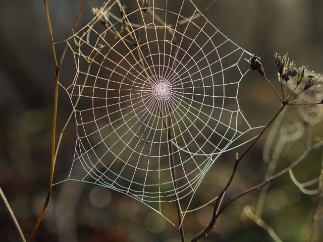 robert-anasch-h7dl6upIOOs-unsplash