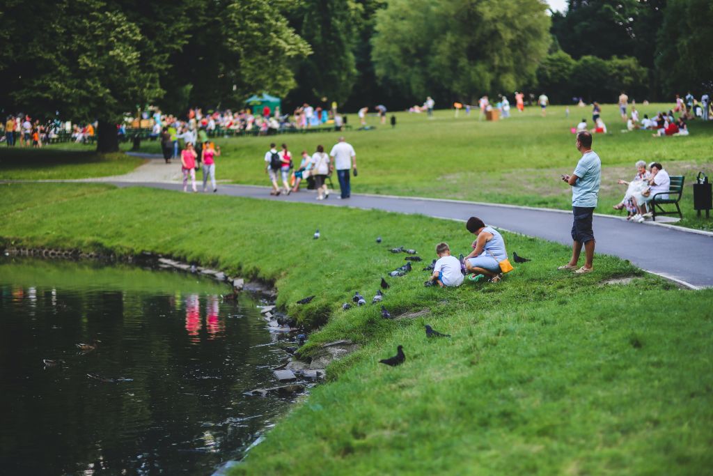 people enjoying being outdoors and picnicking