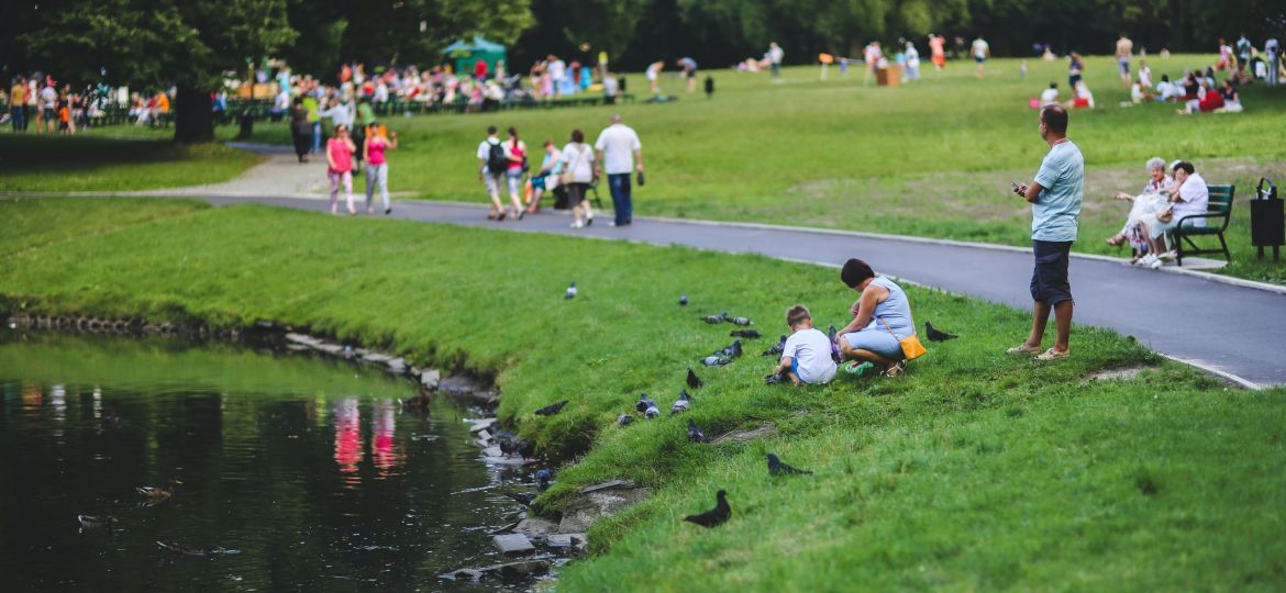 people enjoying being outdoors and picnicking